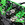 MONSTER TRUCK LOSI LMT 2.0 1/8 GRAVE DIGGER