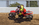 LOSI PROMOTO-MX FXR 1/4