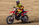 LOSI PROMOTO-MX FXR 1/4