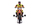 LOSI PROMOTO-MX FXR 1/4
