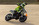 LOSI PROMOTO-SM FXR 1/4