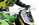 LOSI PROMOTO-SM FXR 1/4