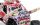 MONSTER TRUCK LOSI MINI LMT 1/18 ZOMBIE